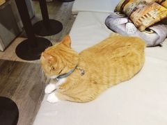 -小时光咖啡馆(开森度假森林店)