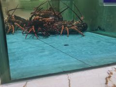 -旺顺阁海鲜广场(亚运村店)