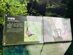 -房山世界地质公园博物馆