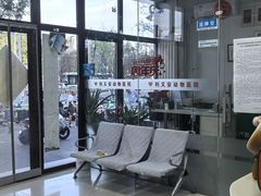 -利又安动物医院··老年病·猫科犬科·中兽医