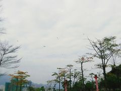 -飞来湖湿地公园