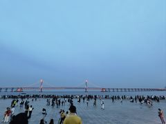 -大连星海广场音乐喷泉