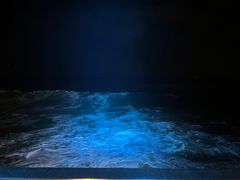 -Rock Bar Bali(Bali)