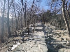 -北京鹫峰国家森林公园
