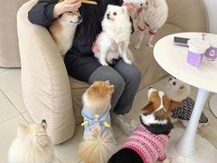 -怪兽屋·羊驼·猫咖·狗咖(俊华广场店)