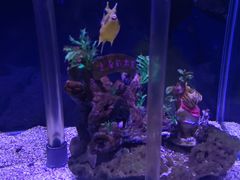 -太平洋海底世界