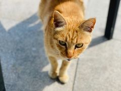 -bluefrog蓝蛙(恒隆广场店)