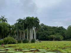 -中国科学院西双版纳热带植物园
