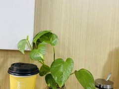 -范蠡湖公园