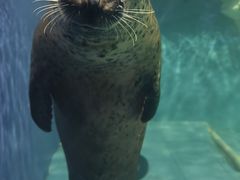 -左海海底世界