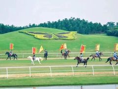 -迪茵湖田家舍生态农场