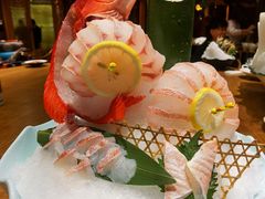 东星斑-尚海豆捞(乐虹坊店)