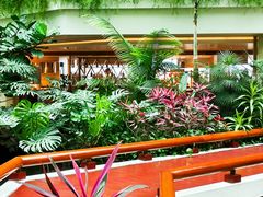 -广州白天鹅宾馆