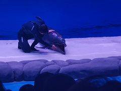 -华夏文旅海洋公园