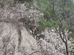 -北京凤凰岭
