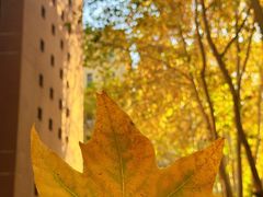 -马光荣肉丸糊辣汤(边东街店)