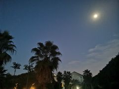 -福建鲤鱼洲酒店