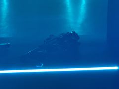 -世代星球·保龄球·镭战真人CS·团建(杨浦店)