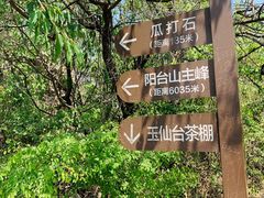 -阳台山自然风景区