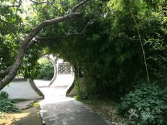 -王家大院