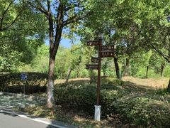 -八大山人梅湖景区