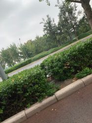 -HEYAN长风荷妍专业脱毛美肤
