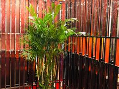 -建滔诺富特酒店-悦餐厅