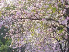 -南丰汇(新港东路店)