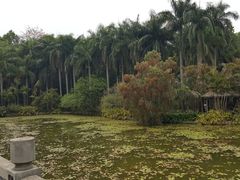 -滴水岩森林公园