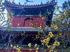 -国家植物园南园