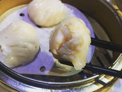 -糖朝(尖沙咀店)