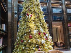 -行者书屋大堂吧 ·下午茶(南京圣和府邸酒店)