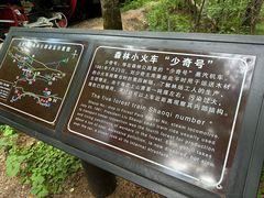 -五营国家森林公园