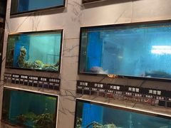 -阳光码头海鲜火锅(世纪大道店)