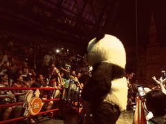 -俄罗斯国家大马戏团