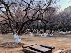 -前关湿地公园