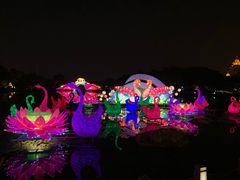 -映月湖公园