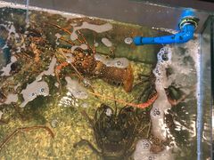 -Isla Sugbu Seafood City