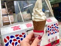 -富豪雪糕车流动点(尖沙咀店)