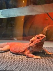 -酷嗒动物文化乐园(cutezoo西溪乐天城店)