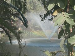 -深圳野生动物园