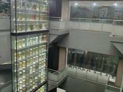 -广东中医药博物馆