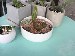 -蜜蜂小象·榴莲千层蛋糕(时代汇11栋店)