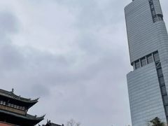 -紫峰大厦