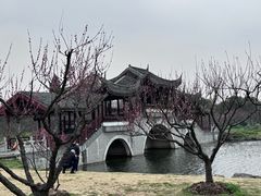 -上海海湾国家森林公园