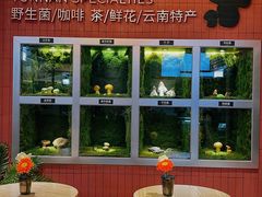大堂-芸山季·云南野生菌火锅(宝能环球汇店)