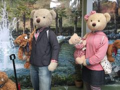 -济州岛泰迪熊博物馆