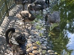 -北京市海淀外国语实验学校