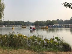 -朝阳公园