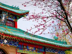 -灵谷景区